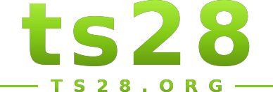 ts28 logo